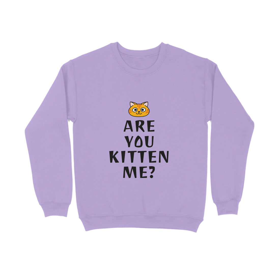 Sweatshirt - Are you Kitten me? (8 colours x 6 sizes)