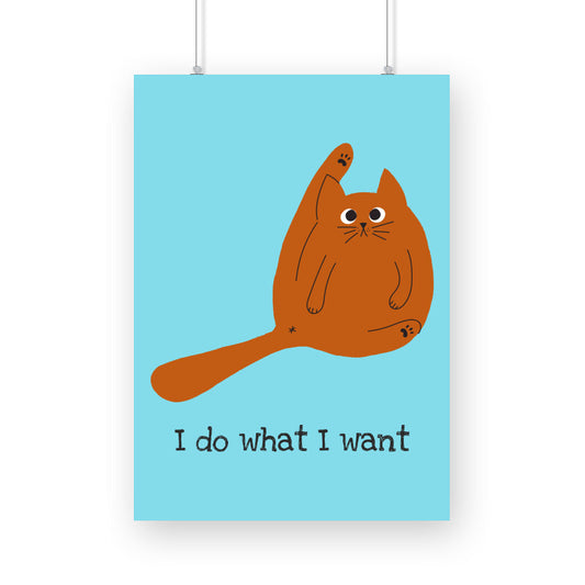 Poster - I do what I want